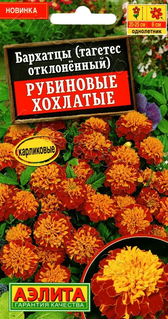 Цветы одн. Бархатцы Рубиновые хохлатые Цветы одн. Бархатцы "Рубиновые хохлатые" 0,3г Аэлита — изображение 1