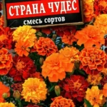 Цветы одн. Бархатцы "Страна чудес" смесь сортов 0,3г Аэлита