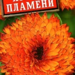 Цветы одн. Календула "Языки пламени" 0,5г Аэлита