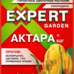 Инсектицид "Актара" 2г Expert garden