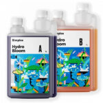 ЖУ "Simplex Hydro Bloom A+B" 1 л (комплект 2 бутылки)