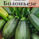 Кабачок "Болоньезе" 1г Аэлита
