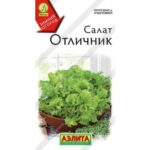 Салат "Отличник" 0,5г Аэлита