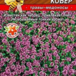 П Тимьян "Ароматный ковер" 0,05г Аэлита