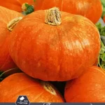 Тыква "Оранжевое варенье" 2г Аэлита
