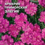 Цветы мн. Армерия "Элегия" 0,1г СЕДЕК