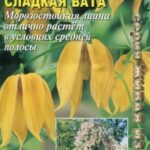 Цветы мн. Клематис "Сладкая Вата" тангутский Аэлита