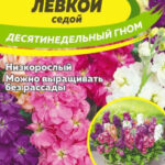 Цветы одн. Левкой "Десятинедельный гном седой" 0,05г СА
