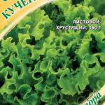 Салат "Кучеряш зеленый" 0,5г Гавриш 
