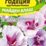Цветы одн. Годеция "Майден Блаш" 0,2г СА