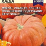 Тыква "Медовая Каша" 2г СА