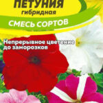 Цветы одн. Петуния "Гибридная смесь" 0,1г СА 
