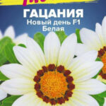 Цветы одн. Гацания "Новый день Белая F1" 5шт СА 