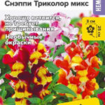 Цветы одн. Львиный зев "Снэппи Триколор микс" 7шт СА 