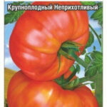 Томат "Штамбовая королева" 20шт СС 