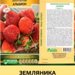 Земляника "Альбион" ремонтантная 15 шт ЕС
