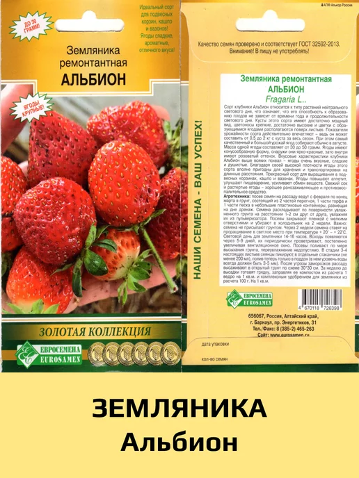 Земляника Альбион ремонтантная Земляника "Альбион" ремонтантная 15 шт ЕС — изображение 1