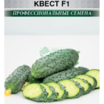 Огурец "Квест F1" 5 шт ЕС
