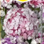 Цветы мн. Гвоздика "Подружки Невесты" смесь 0,05г ЕС