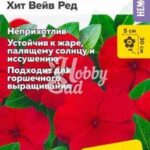 Цветы ком. Катарантус "Хит Вейв Ред" 5шт СА