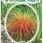 Цветы мн. Осока "Бронзовые Кудри" 5 шт ЕС