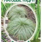 Цветы мн. Осока "Матовые Кудри" 5 шт ЕС