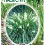 Цветы мн. Пеннисетум мохнатый "Пушистик" 5 шт ЕС