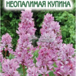 Цветы мн. Ясенец "Неопалимая Купина" 10 шт ЕС