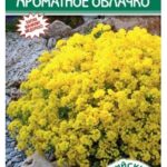 Цветы мн. Алиссум "Ароматное Облачко" 0,1г ЕС