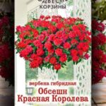 Цветы одн. Вербена "Обсешн Красная Королева" гибридная 5 шт ЕС