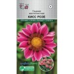 Цветы одн. Гацания "Кисс Розе" 5 шт ЕС