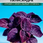 Цветы одн. Колеус "Джиант эксибишн палисандра" 3 шт ЕС