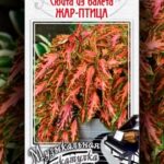 Цветы одн. Колеус "Сюита из балета Жар-Птица" 3 шт ЕС