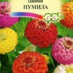 Цветы одн. Цинния "Пумилла" смесь 0,5г Гавриш