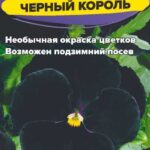 Цветы дв. Виола "Черный Король" 0,05г СА