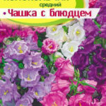 Цветы дв. Колокольчик "Чашка с блюдцем" 0,1г СА