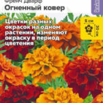 Цветы одн. Бархатцы "Огненный Ковер" 5шт СА