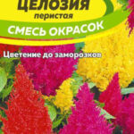 Цветы одн. Целозия "Перистая" смесь 0,05г СА