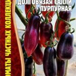 Томат "Долговязая Салли Пурпурная" 10 шт РедСем