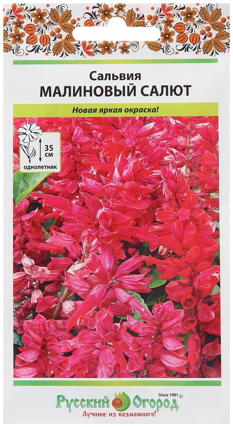 7063685271 Цветы одн. Сальвия "Малиновый салют" 10шт НК — изображение 1