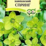 Цветы мн. Морозник " Спринг" 0,1 Гавриш