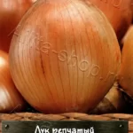 Лук "Король Гигантов" репчатый 0,3г Аэлита