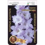 Гладиолус "Голубая Бездна 483" Дыбов 1 р-р, в упаковке 7 шт., цена за 1 шт.