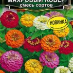 Цветы одн. Цинния "Махровый Ковер" 0,3г Аэлита 