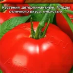 Томат "Настена F1" Аэлита