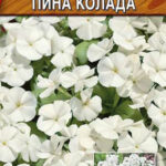 Цветы одн. Флокс "Пина Колада" 0,2г Аэлита