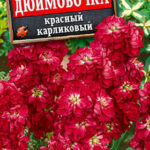 Цветы одн. Левкой "Дюймовочка" красный 0,1г Аэлита