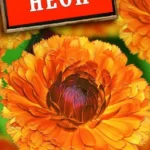 Цветы одн. Календула "Неон" 0,5г Аэлита 