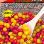 Томат "Смородинка смесь" 20шт Аэлита