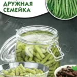 Фасоль "Дружная семейка" 5г Аэлита
